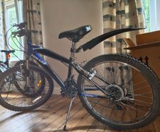 Old bike