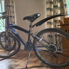 Old bike