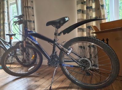 Old bike