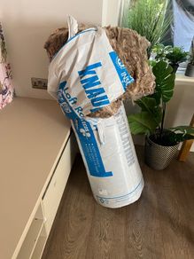 Attic Insulation