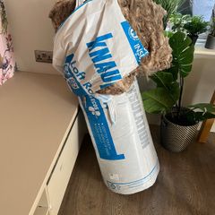 Attic Insulation