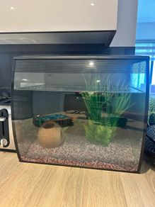 Fluval Aquarium