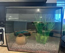 Fluval Aquarium