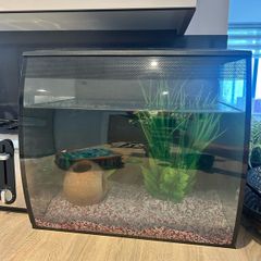 Fluval Aquarium