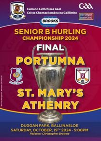 2024 St. Mary's Athenry v Portumna - Galway Senior B Club Hurling Final