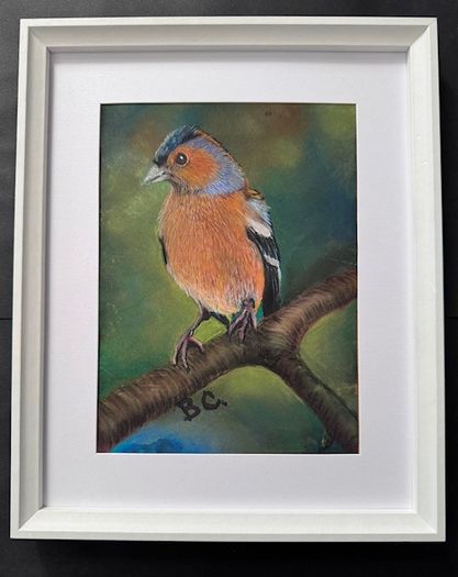 Original Pastel Paintings of Irish Garden Birds