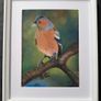 Original Pastel Paintings of Irish Garden Birds Image 4