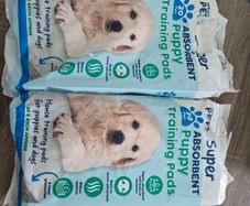 puppy pads