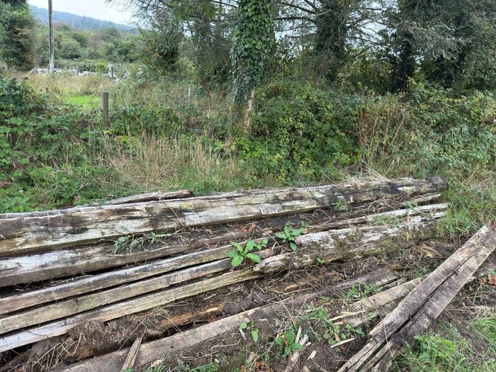 Greenheart wood hardwood beam/timber