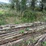 Greenheart wood hardwood beam/timber Image 9