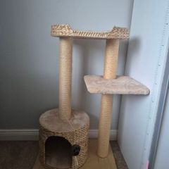 cats scratching pod