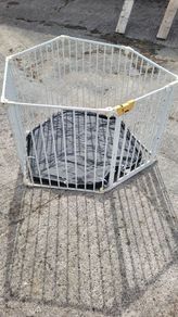 kids play pen