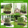 4 Arches Cucumber Trellis with Grow Bag 127/163CM Metal Trellis for Climbing Plants, Heavy Duty Garden Arch, Height Adjustable Plant Grow Support for Peas, Vegetables, Flowers, Fruit Image 6