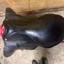 Penfolds Saddle Image 2