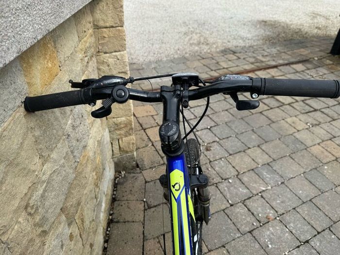 1 adult bike