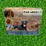Medium/Large Dog Training System (1km Range) | PACDOG Image 4