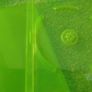 Xbox 360 Green Plastic Game Cases Image 6