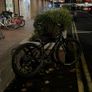 Collective c3 wheelie bike Image 2