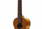 Cedar and willow concert ukulele with case