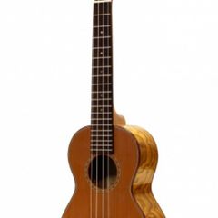 Cedar and willow concert ukulele with case
