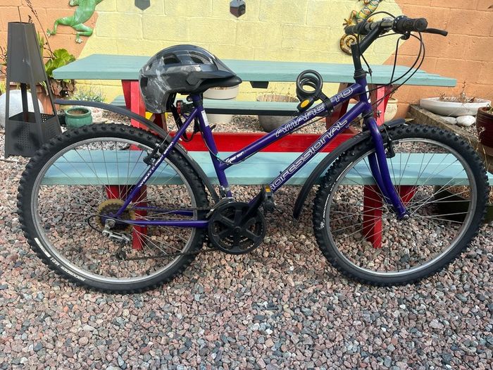 bike size 24