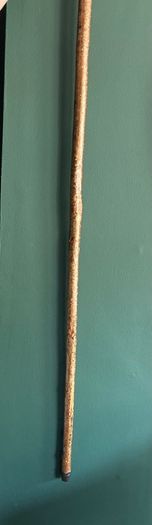 walking stick cane