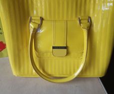 ladies bag by ted baker