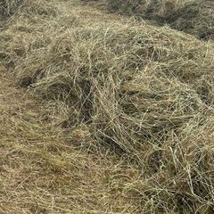 Haylage