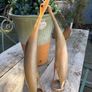 MID CENTURYPAIR OF CRANES hand carved Buffalo / cow horn Image 8