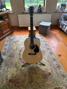 Richwood Guitar