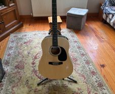 Richwood Guitar