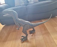 Dinosaur Velociraptor