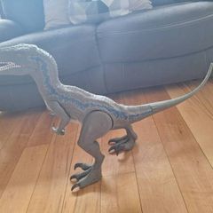 Dinosaur Velociraptor
