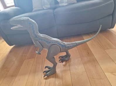 Dinosaur Velociraptor