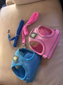 Puppy or cat harness