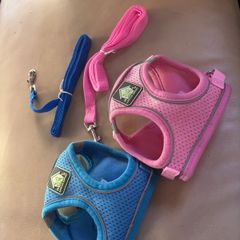 Puppy or cat harness