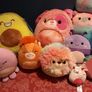 Squishmallows lot 1 Image 3