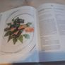 3 hardback books on cooking, 1 French, 2 in German, D18 post 16e Image 7