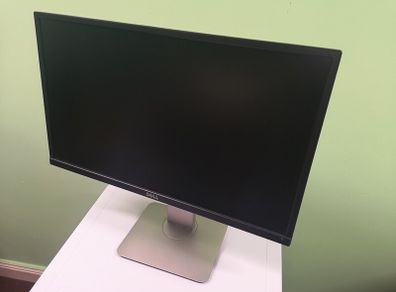 DELL Professional computer monitor 24 inch
