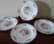Arcopal France PROVINCIAL Plates NEW