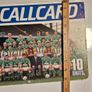 Irish Telecom Eireann Callcard Cardboard Advertising For Irish Soccer Team Usa World Cup 94 10units 14" X 9 " ,, 36cm X 23cm Image 7