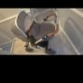 silver cross wave tandem buggy Image 7