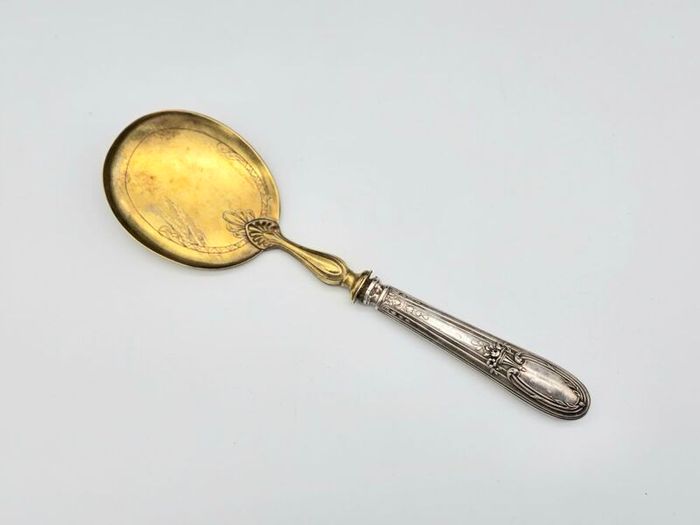 Antique 1800s Swiss Large Cream Spoon with Silver Handle