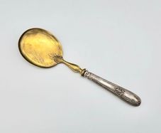 Antique 1800s Swiss Large Cream Spoon with Silver Handle