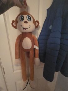 teddy