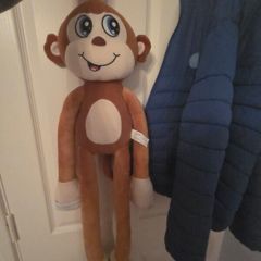 teddy