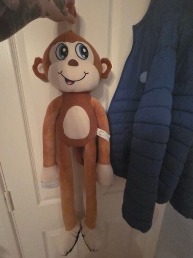 teddy