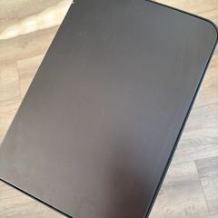 Black dual compartment bin