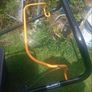 lawnmover Image 2