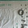 milestone baby blanket Image 3